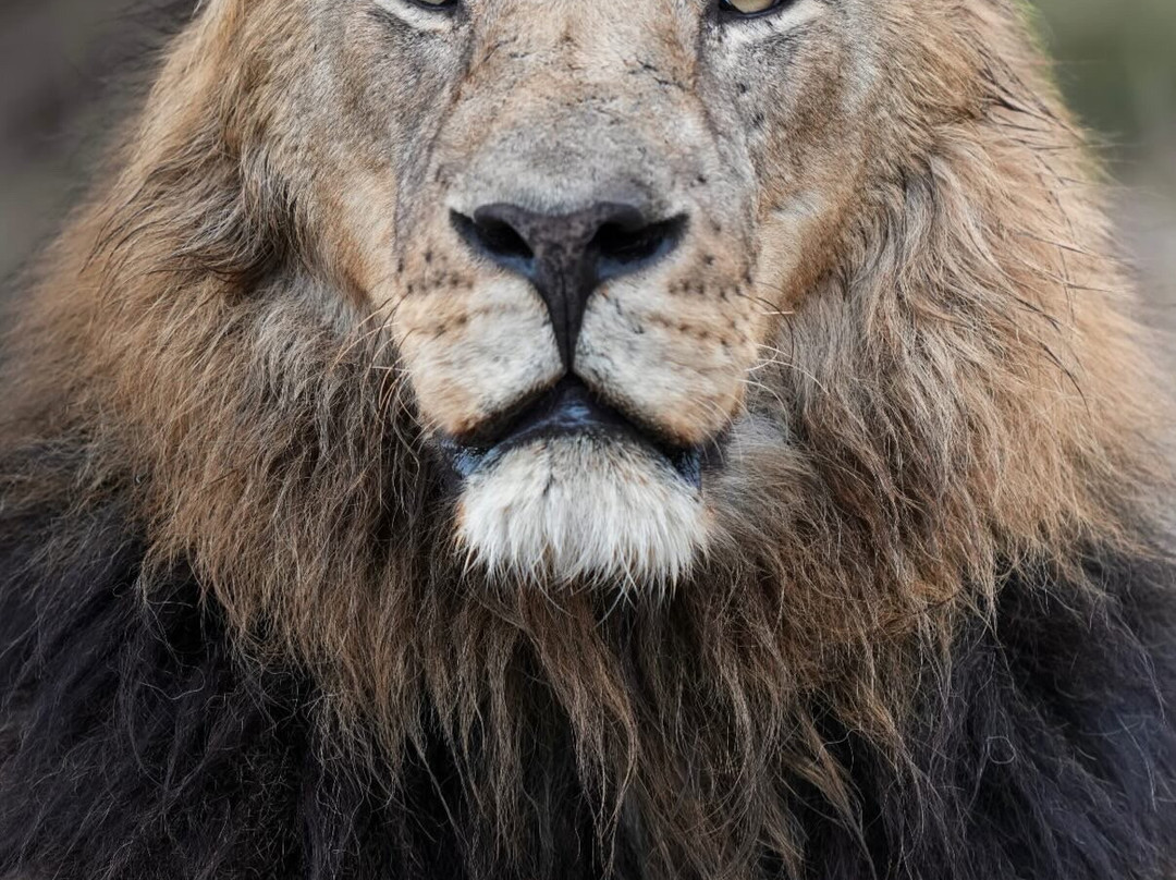 EverseenAfrica-霍德斯普鲁特必去景点