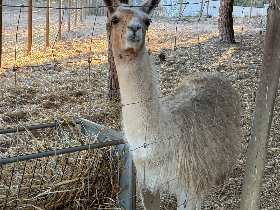 Monte Da Bemposta主图