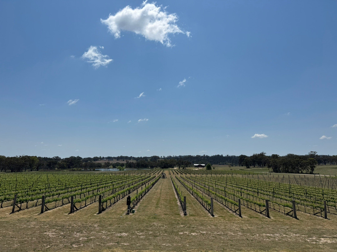 Savina Lane Wines-Severnlea必去景点