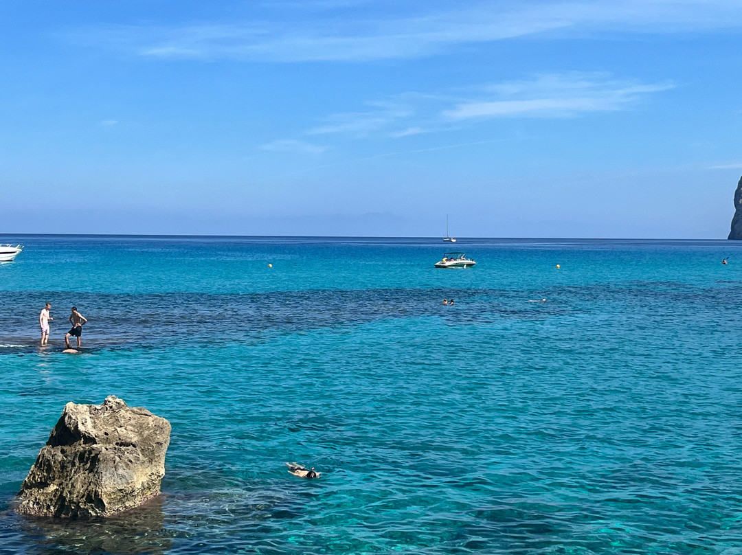 Globales Don Pedro主图