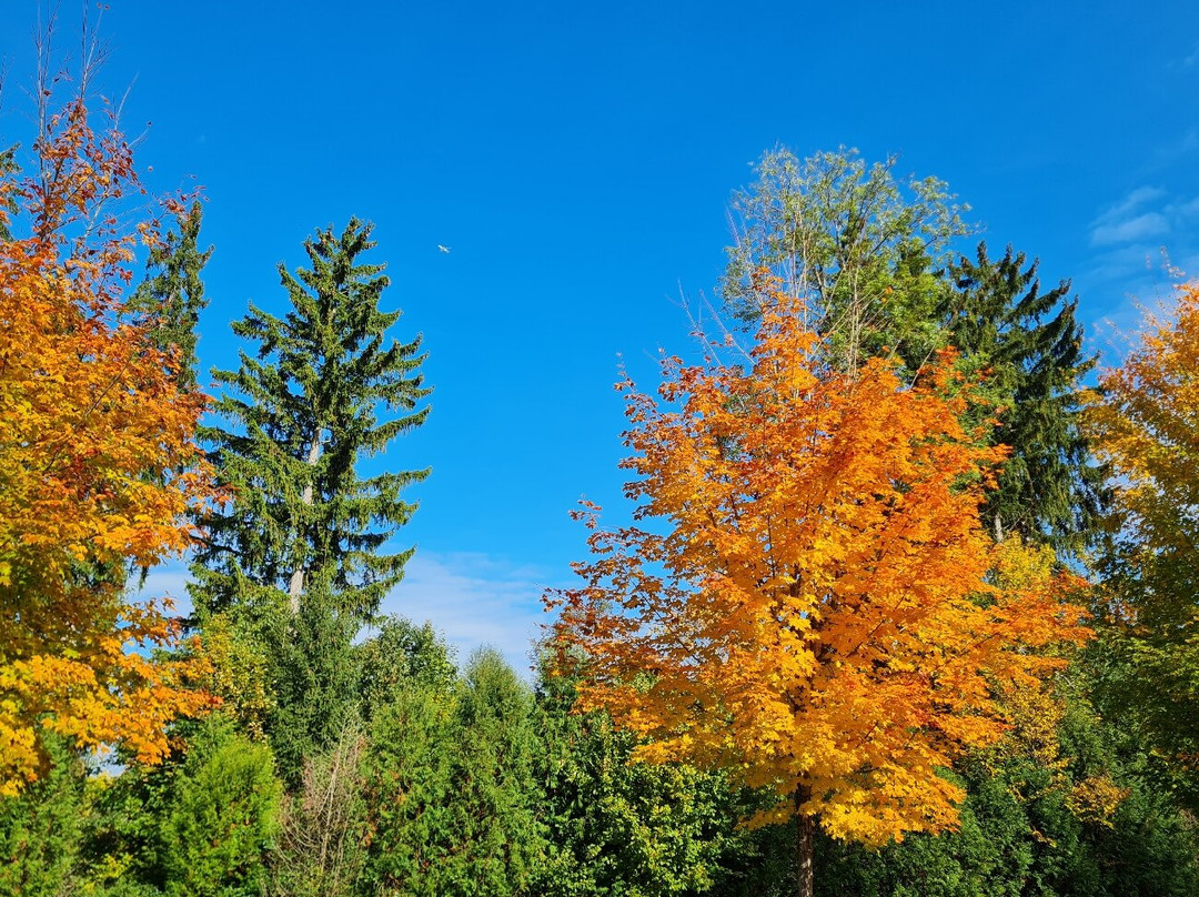 Weltwald-弗赖辛必去景点