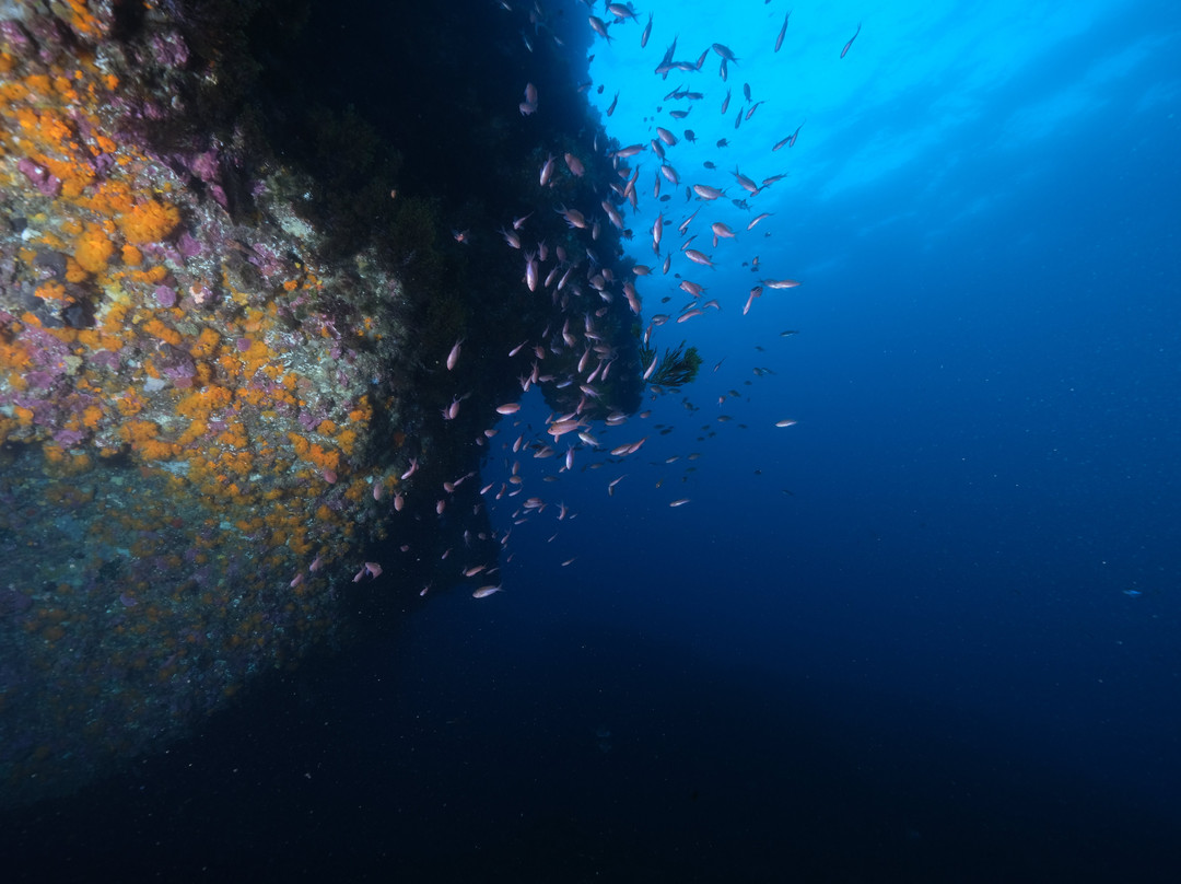 Chems Diving-费尼迪克必去景点