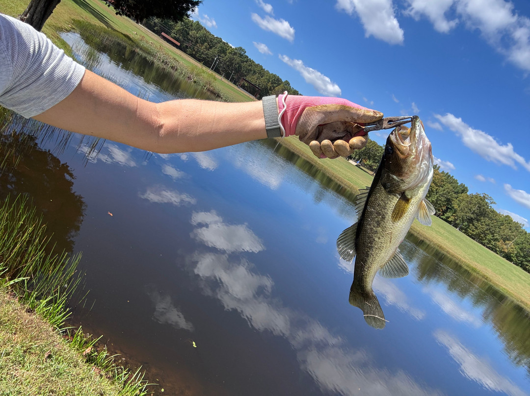 Bigfoot Adventure TN-Tracy City必去景点