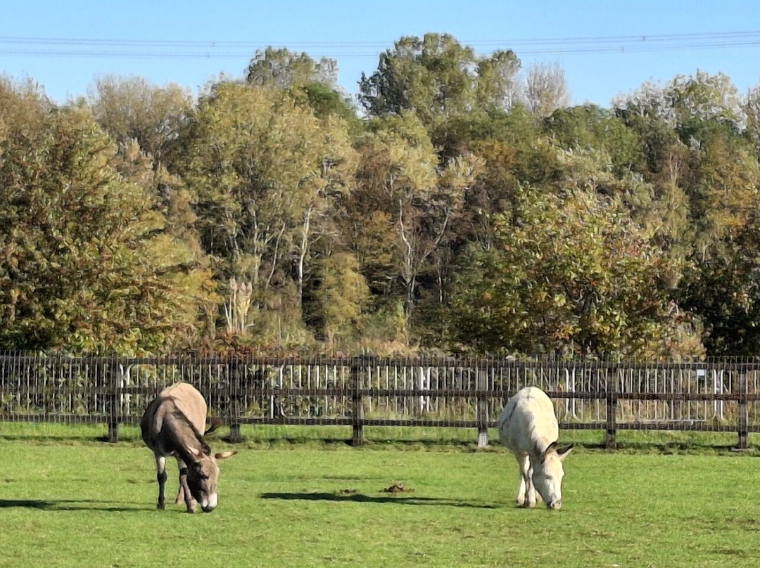 The Wonkey Donkey Visitors Centre-Knottingley必去景点