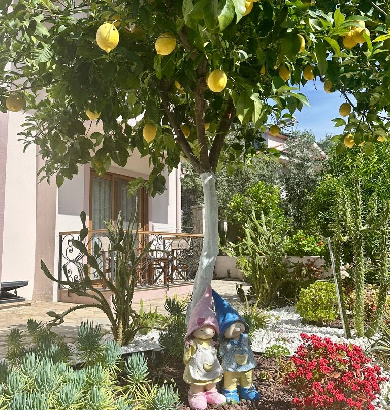 Göcek Arion Hotel主图