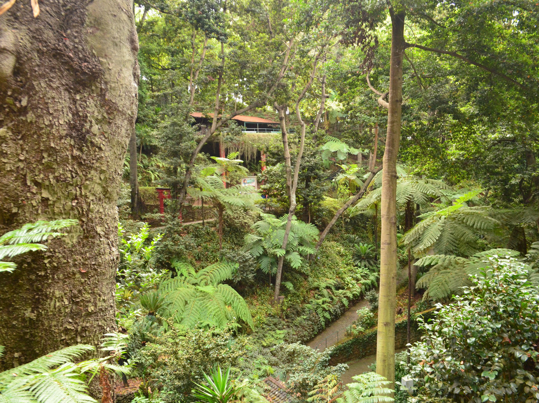 Botanical Garden Cable Car-沙尔必去景点