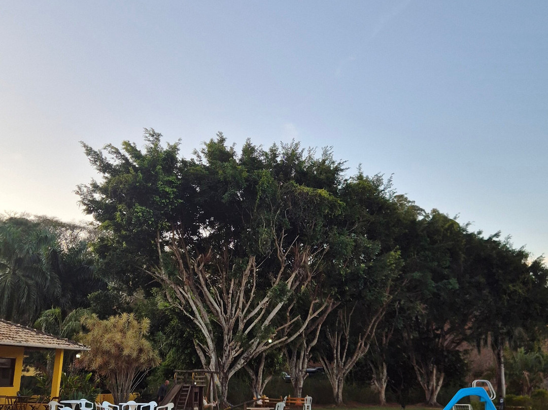 Hotel Fazenda Minas Real主图