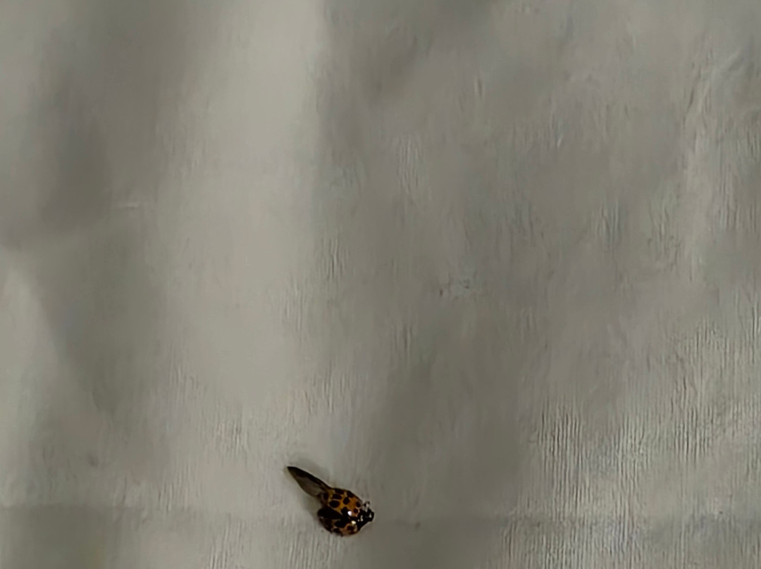 Eagle Mountain House & Golf Club主图