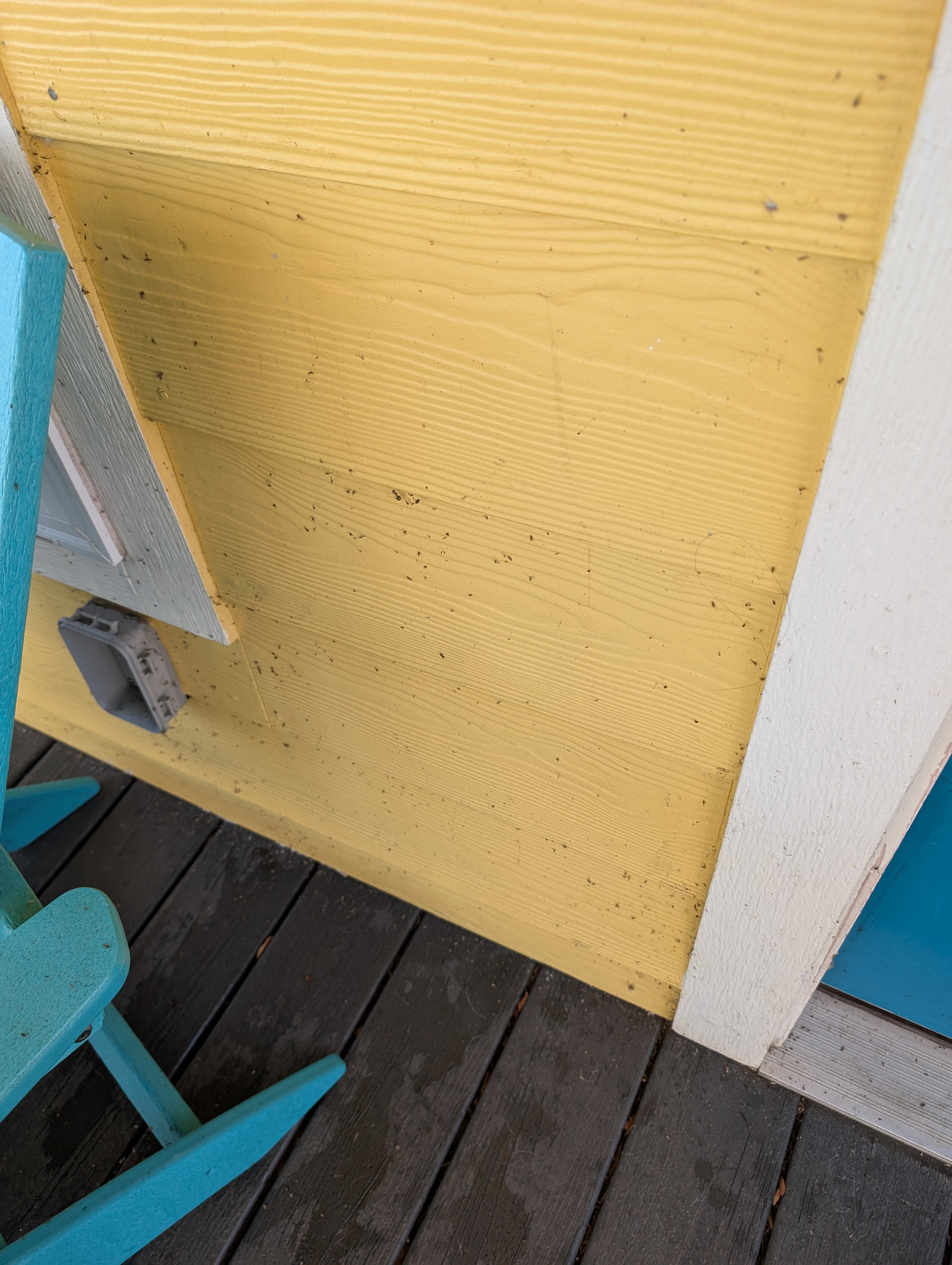 Margaritaville Lake Resort Lake Conroe-客卧