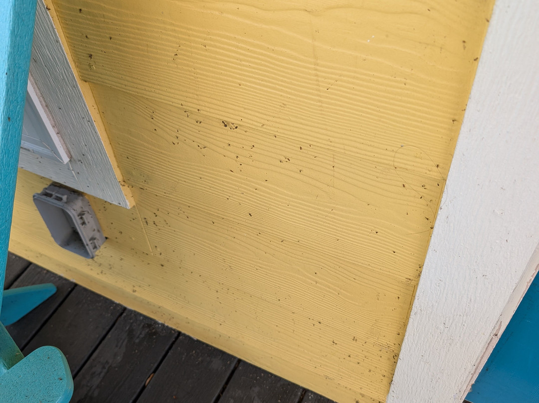 Margaritaville Lake Resort Lake Conroe主图