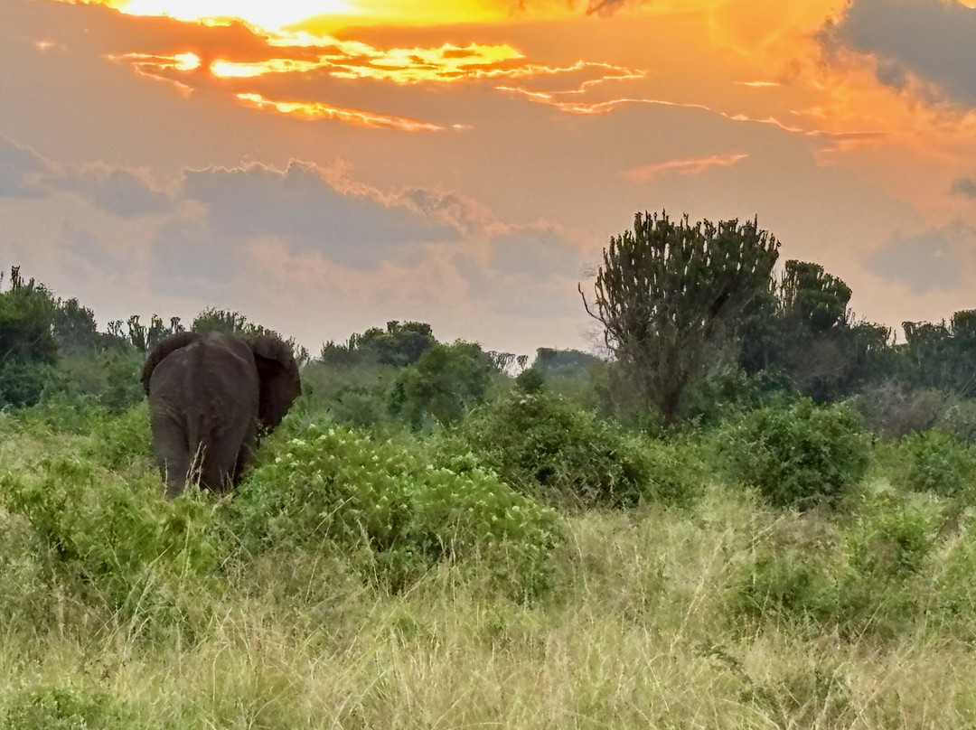 Trek Africa Expeditions-Lyamutundwe必去景点