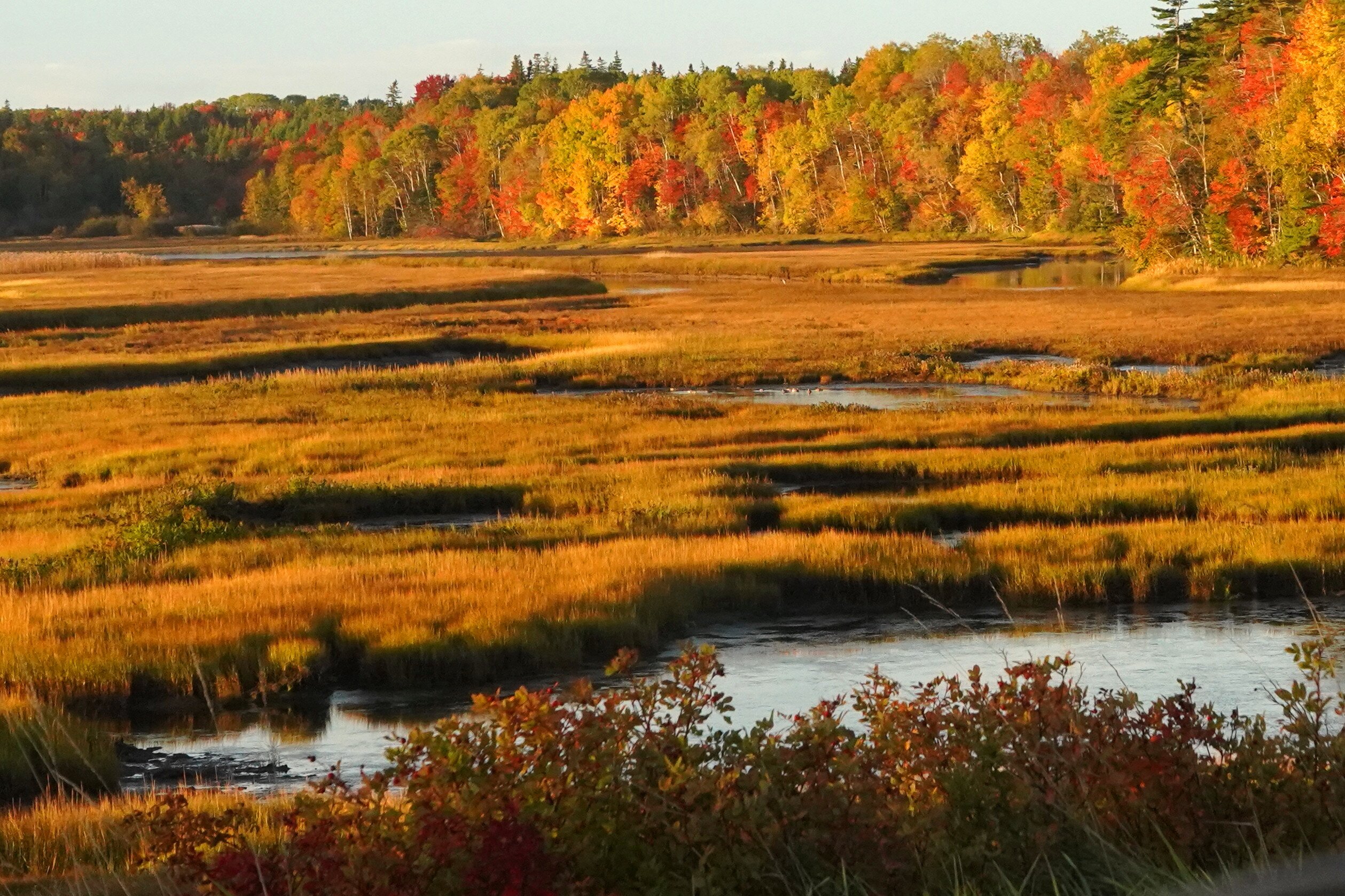 Duncreigan Country Inn-官方