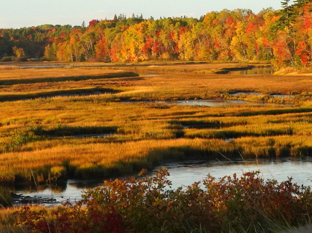 Duncreigan Country Inn主图