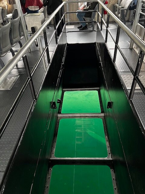 Glass Bottom Shipwreck Tours-缪尼辛必去景点