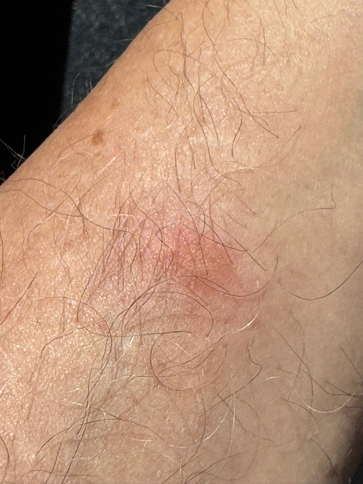 摩尔庄园酒店-官方