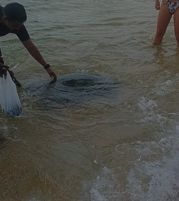 Snorkeling with Sandaru-希克杜沃必去景点