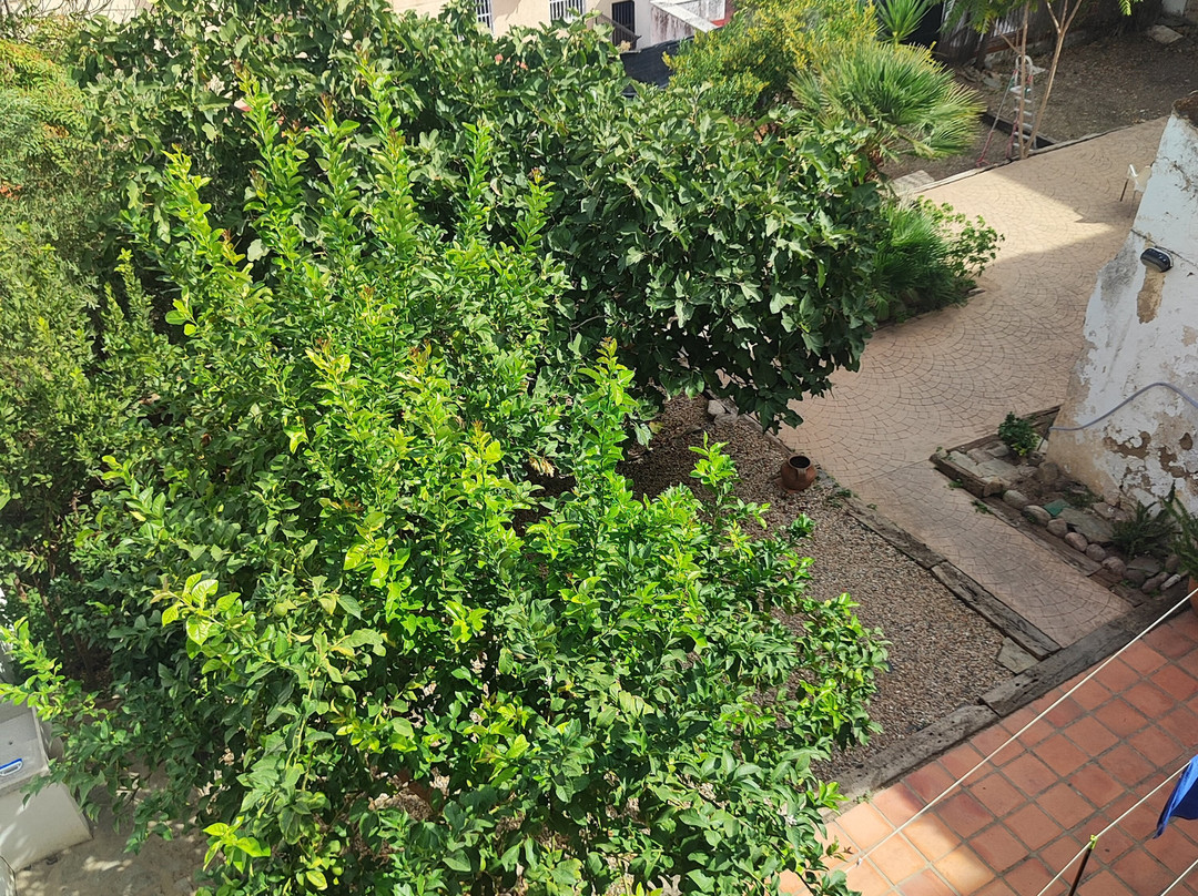 Albergue las Veletas主图