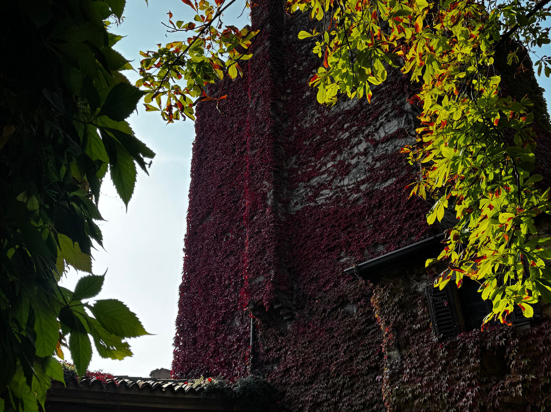Tenuta Castello di Grumello-Grumello del Monte必去景点