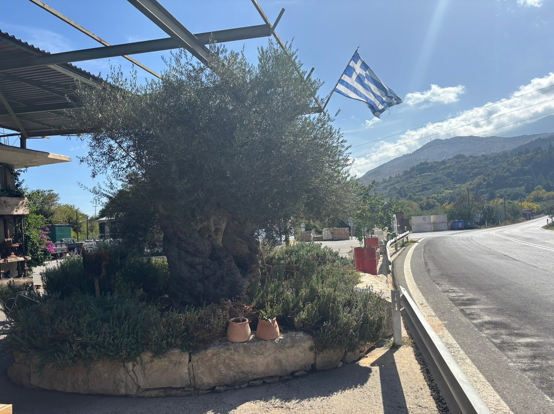 Kanakis Olive Mill-Chania必去景点