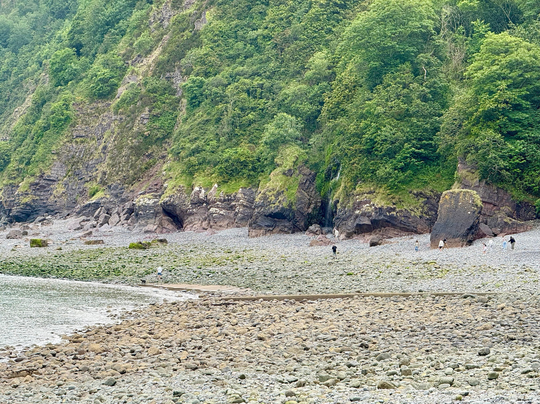 The Clovelly Waterfall