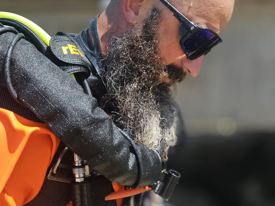 L'ArcaDive - Arcachon Plongee-Mios必去景点