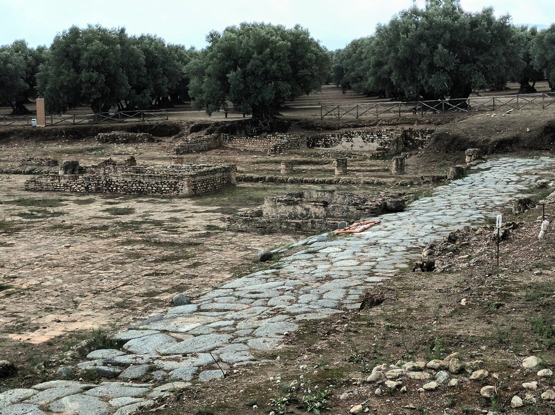 Museo e Parco Archeologico Nazionale di Scolacium-Borgia必去景点