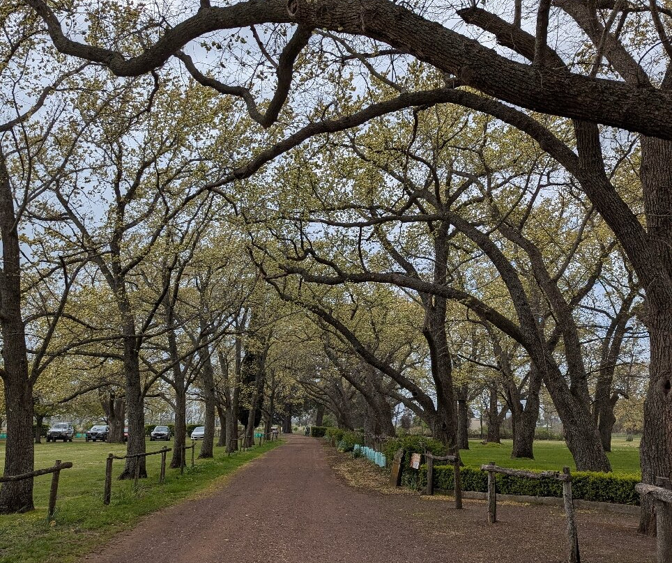 Clarendon Estate-Evandale必去景点