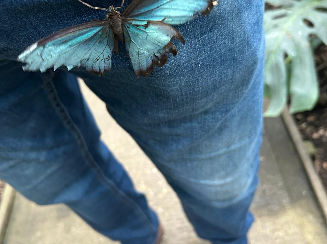 Butterfly Gardens @ Middleton Common Farm-Westmeston必去景点