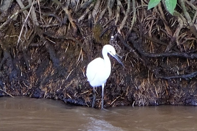 Thumbs Up Tours-彭塔雷纳斯必去景点
