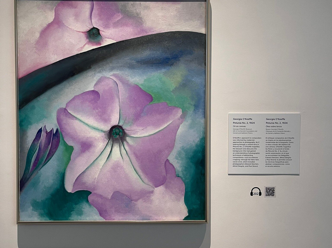 Georgia O'Keeffe Museum-圣菲必去景点