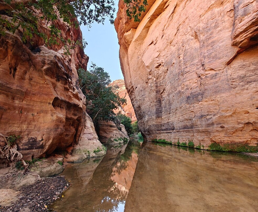 Kanaga Africa Tours-恩加美纳必去景点