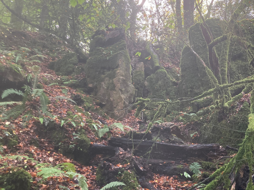 Puzzlewood-Coleford必去景点
