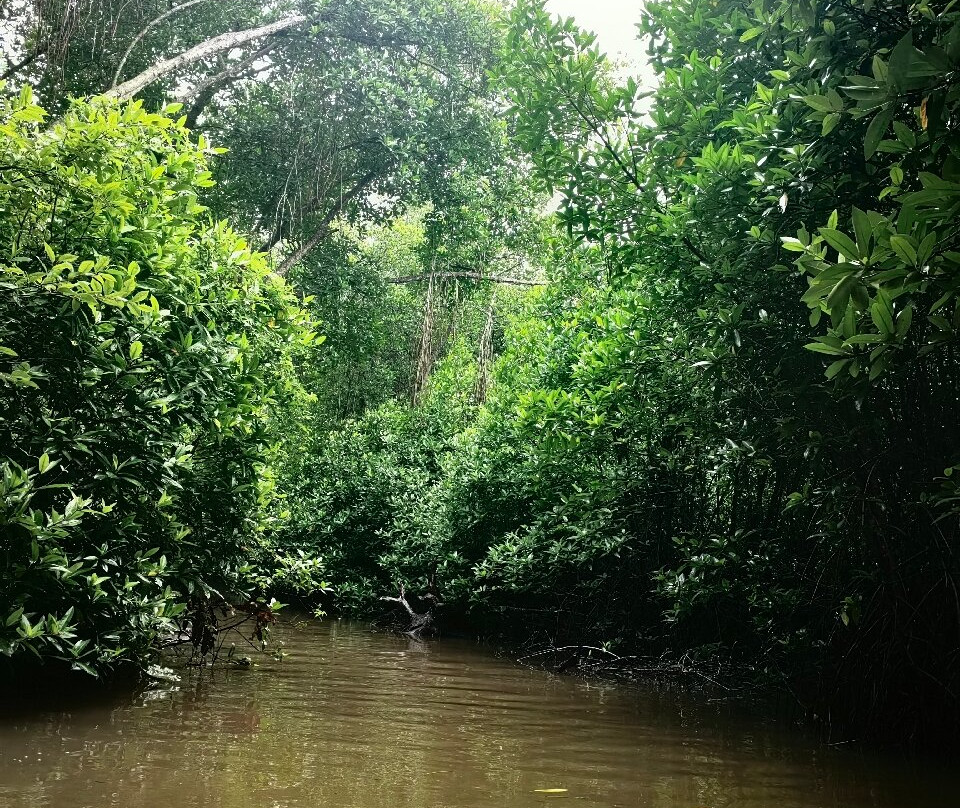 Muthumuni Ayurveda Beach Resort主图