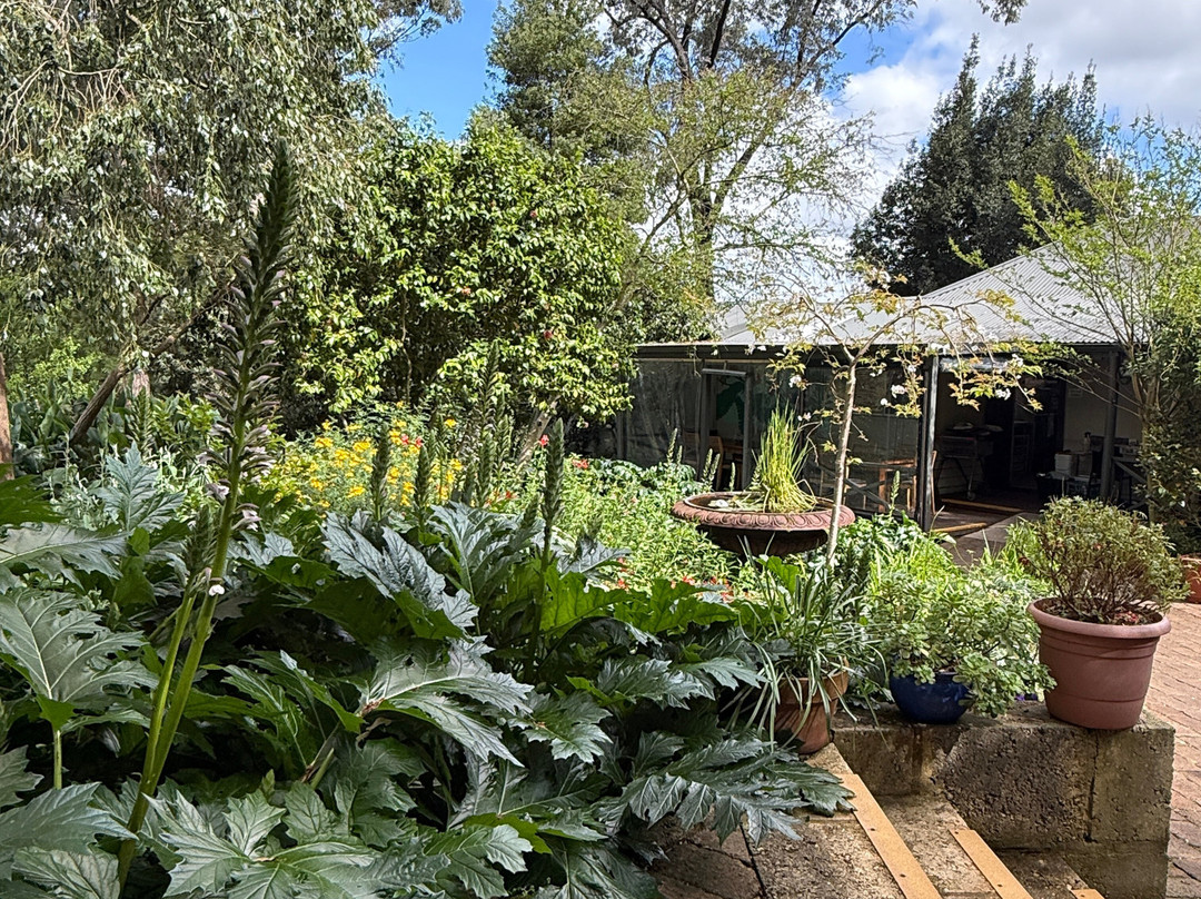 Berry Farm-玛格丽特河必去景点