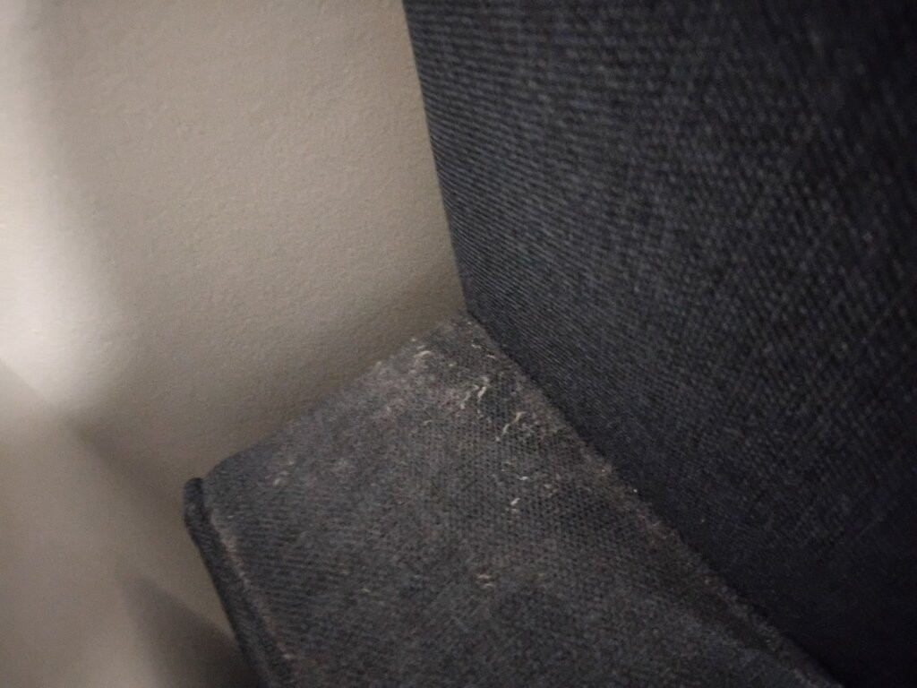 加勒比汽车旅馆主图