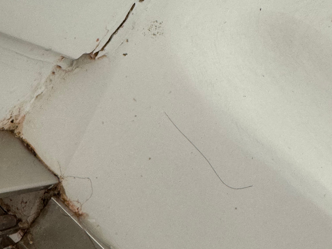 伯明翰SE/自由公园希尔顿花园酒店主图