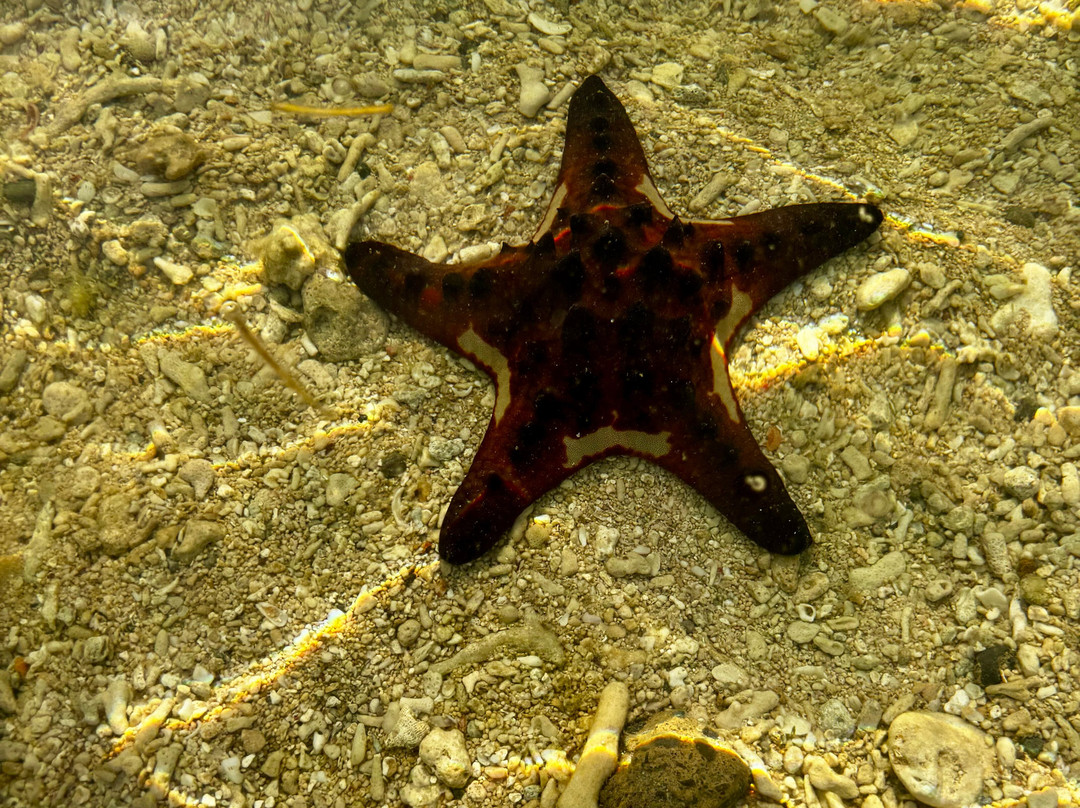 Santiago Cove Hotel and Restaurant主图