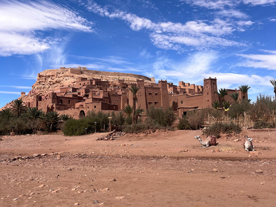 Viaje Conmigo A Marruecos-马拉喀什必去景点