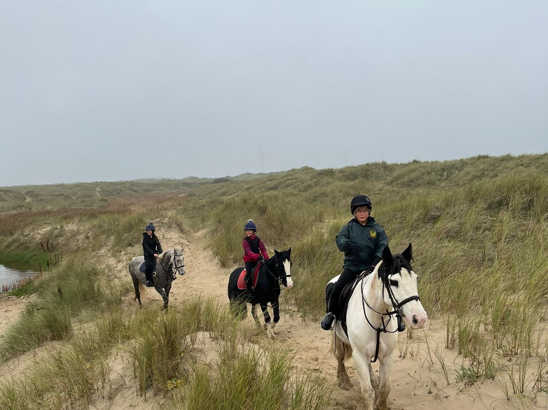 Shrule Equestrian Centre-Gorey必去景点