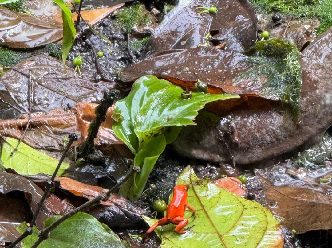 Manuel Tour Guide-卡维塔必去景点