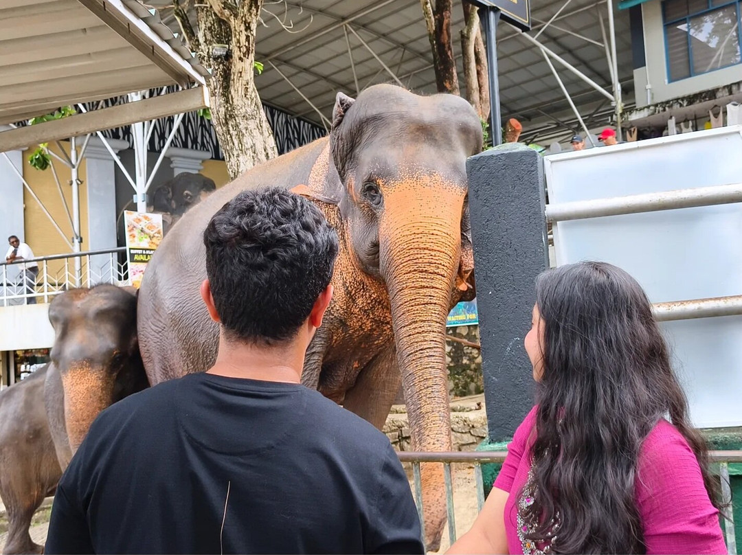 One & Only Travels-Kurunegala必去景点