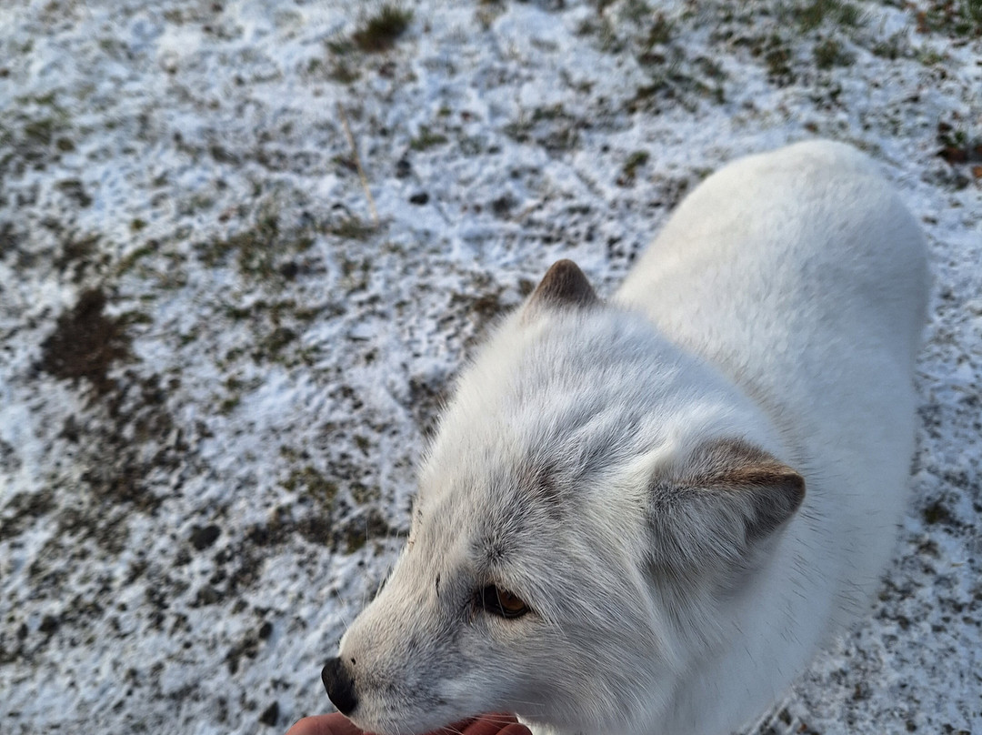 Langedrag Nature Park-Nesbyen必去景点