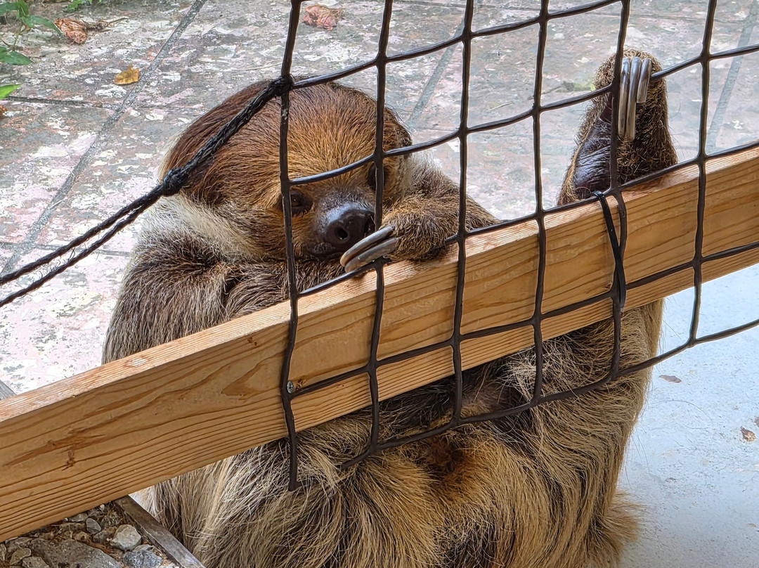 名护Neo自然动植物公园-名护市必去景点