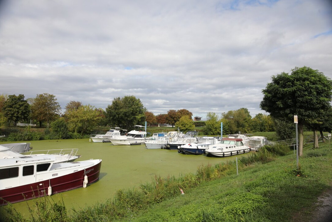 Port de plaisance-Seurre必去景点