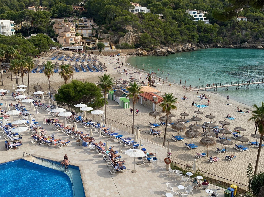 Grupotel Playa Camp de Mar主图