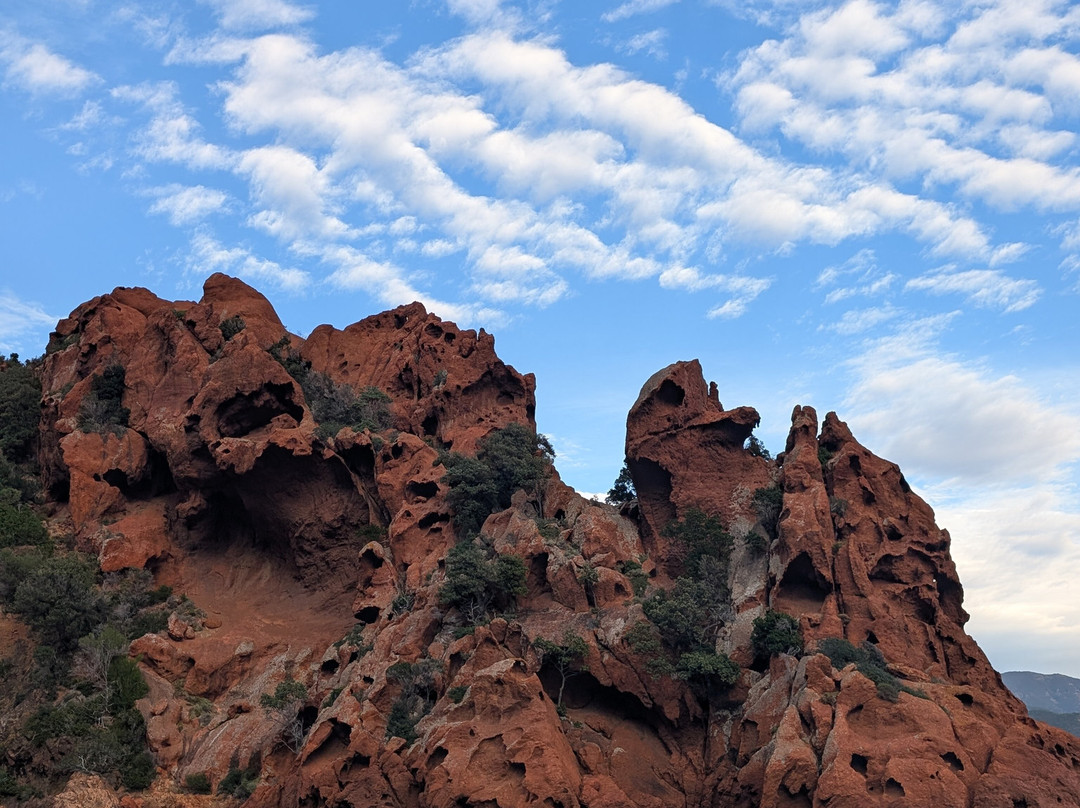 Corse Adrenaline-Porto必去景点