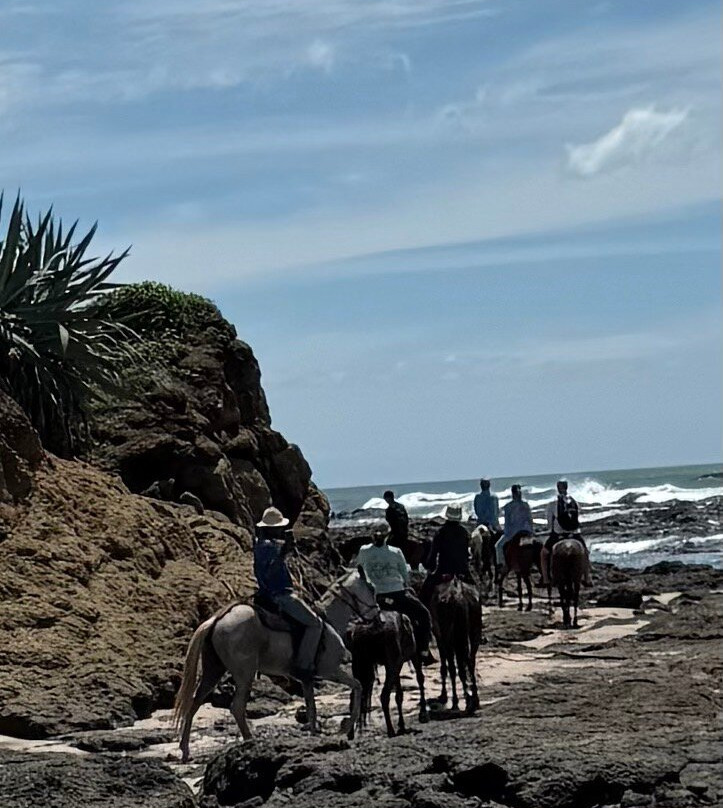 Guti Tours-Playa Avellanas必去景点