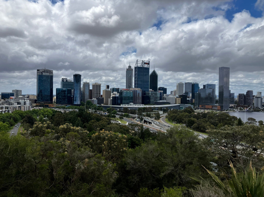 珀斯旅游景点-国王公园及植物园