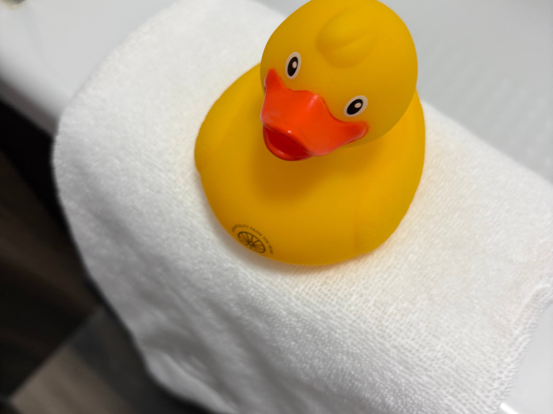 伦敦萨罗森海德酒店主图