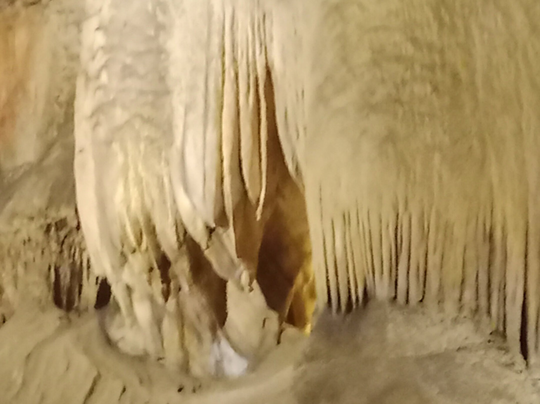 Grotta Antro del Corchia-Levigliani必去景点